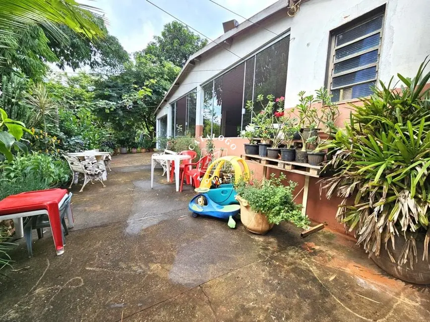 Foto 21 de Fazenda / Haras com 3 quartos para alugar, 6000m2 em Jardim Jóquei Clube, Ribeirao Preto - SP