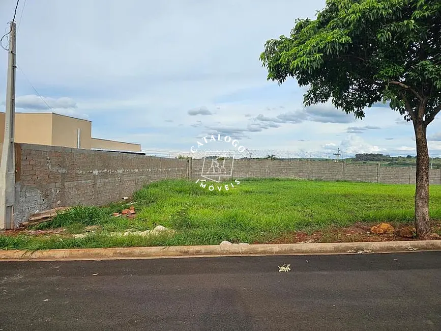 Foto 2 de Terreno / Lote à venda, 251m2 em Ribeirao Preto - SP