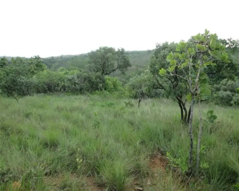 Foto 9 de Chácara à venda, 10000m2 em Paraopeba - MG