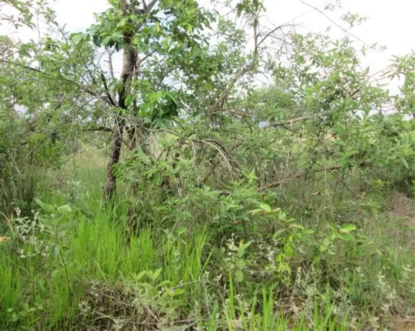 Foto 5 de Chácara à venda, 10000m2 em Paraopeba - MG