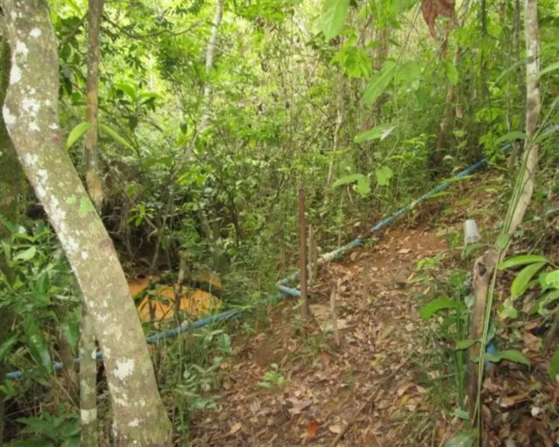Foto 7 de Chácara à venda, 10000m2 em Paraopeba - MG