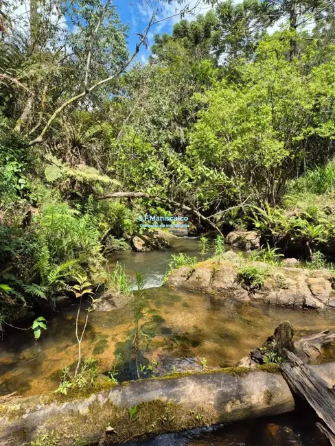 Foto 5 de Casa com 3 quartos à venda, 1100m2 em Campos Do Jordao - SP
