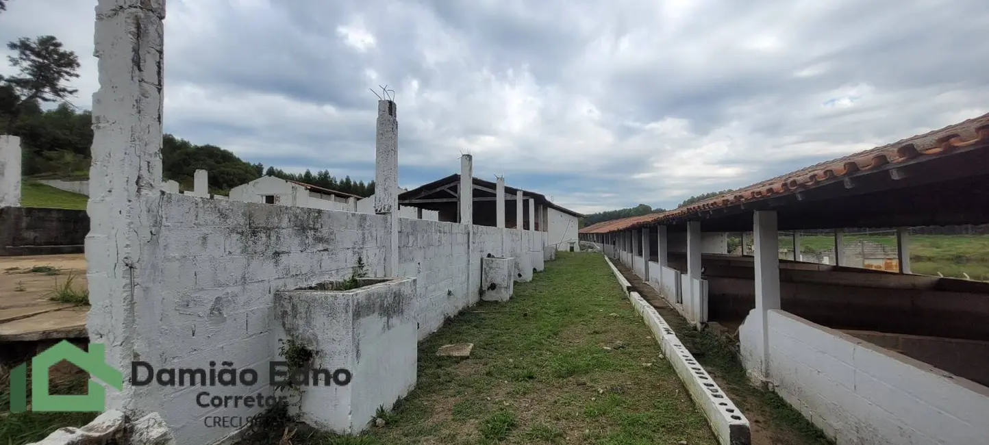 Foto 8 de Chácara com 4 quartos à venda, 1540m2 em Jardim Paraíso II, Itu - SP