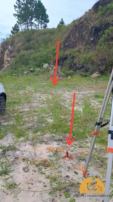 Foto 6 de Terreno / Lote à venda, 327m2 em Balneario Picarras - SC