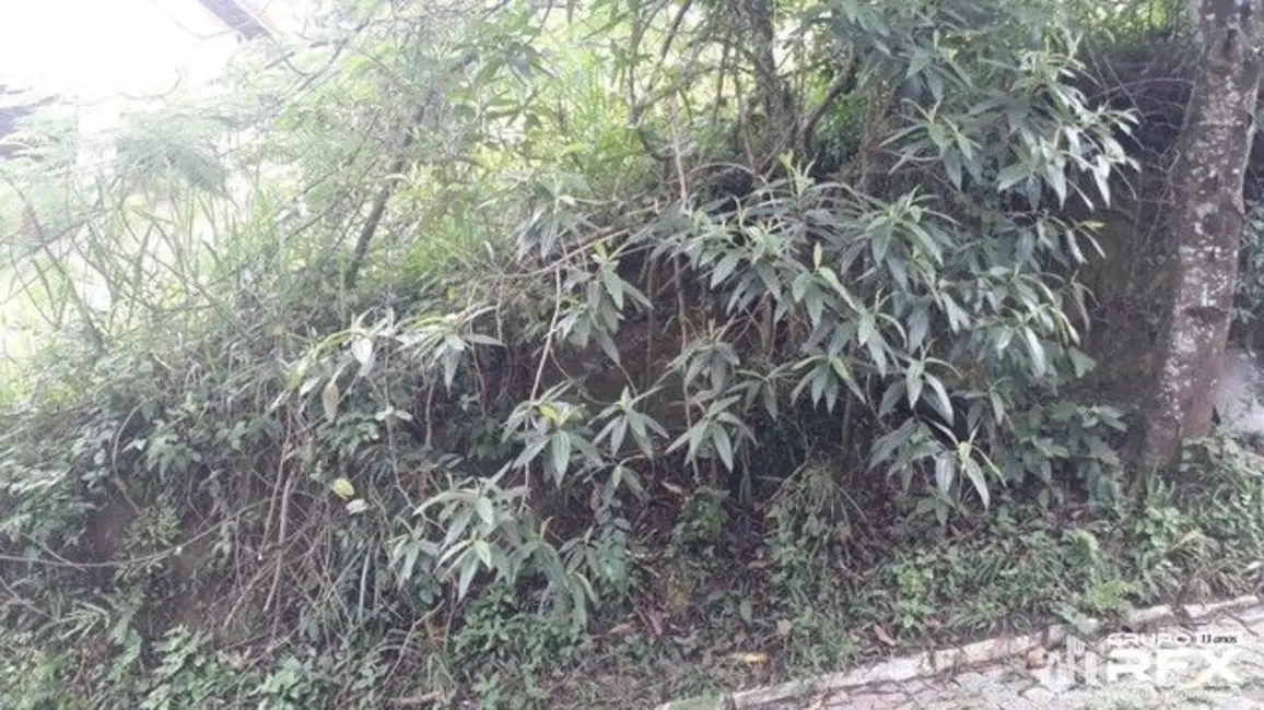 Foto 4 de Terreno / Lote à venda, 585m2 em Serra Grande, Niteroi - RJ