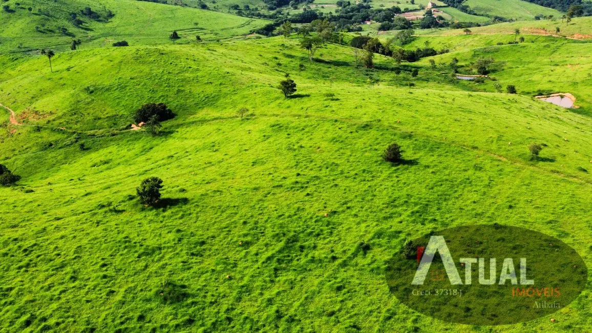 Fazenda / Haras com 10 quartos à venda, 1800m2 em Centro, Itapira - SP - imagem 7 Foto 7 de Fazenda / Haras com 10 quartos à venda, 1800m2 em Centro, Itapira - SP