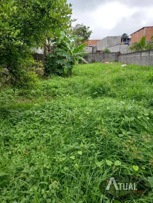 Foto 5 de Terreno / Lote à venda, 350m2 em Jardim Tropical, Itaquaquecetuba - SP