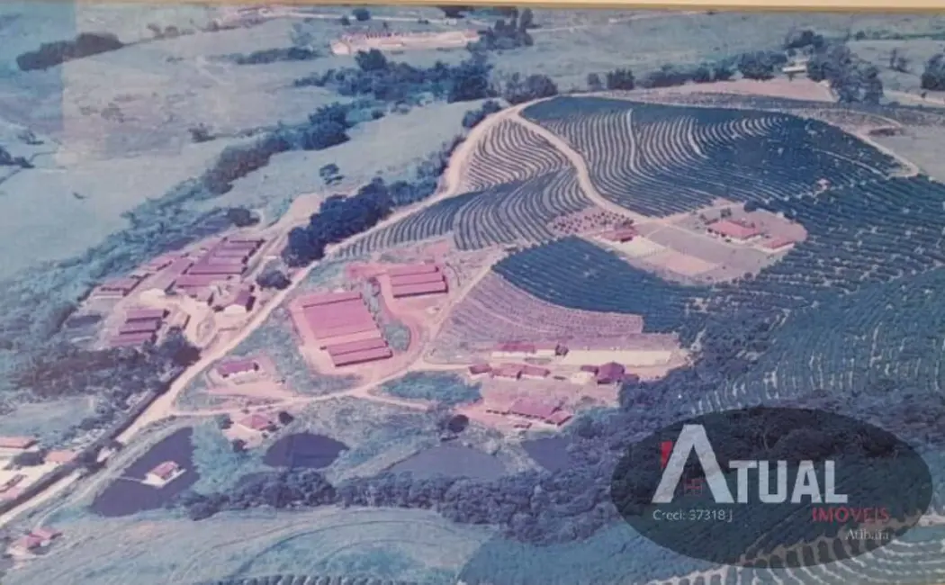 Foto 4 de Sítio / Rancho com 4 quartos à venda, 10000m2 em Braganca Paulista - SP