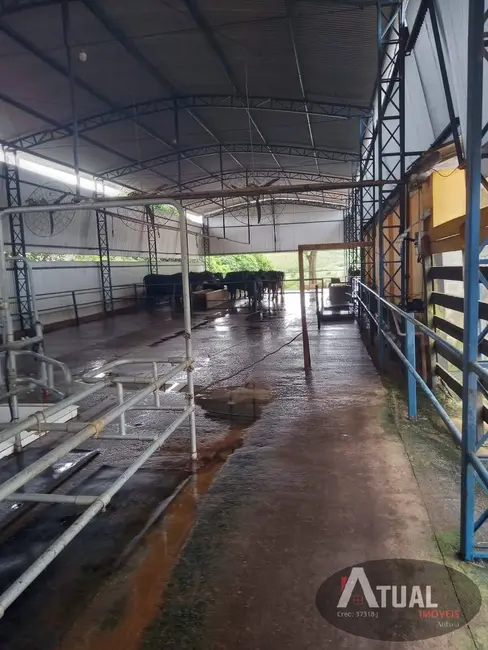 Fazenda / Haras com 3 quartos à venda, 800m2 em Centro, Pouso Alegre - MG - imagem 3 Foto 3 de Fazenda / Haras com 3 quartos à venda, 800m2 em Centro, Pouso Alegre - MG