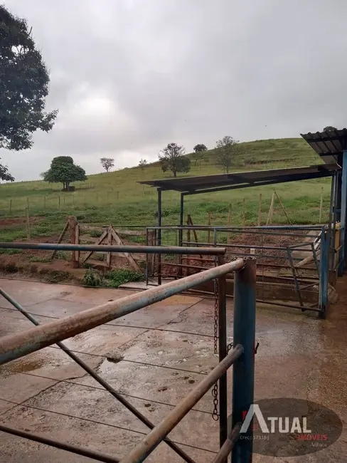 Fazenda / Haras com 3 quartos à venda, 800m2 em Centro, Pouso Alegre - MG - imagem 9 Foto 9 de Fazenda / Haras com 3 quartos à venda, 800m2 em Centro, Pouso Alegre - MG