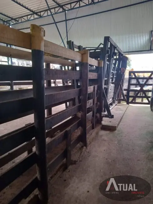 Fazenda / Haras com 3 quartos à venda, 800m2 em Centro, Pouso Alegre - MG - imagem 7 Foto 7 de Fazenda / Haras com 3 quartos à venda, 800m2 em Centro, Pouso Alegre - MG