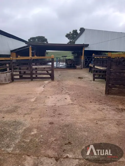 Fazenda / Haras com 3 quartos à venda, 800m2 em Centro, Pouso Alegre - MG - imagem 6 Foto 6 de Fazenda / Haras com 3 quartos à venda, 800m2 em Centro, Pouso Alegre - MG