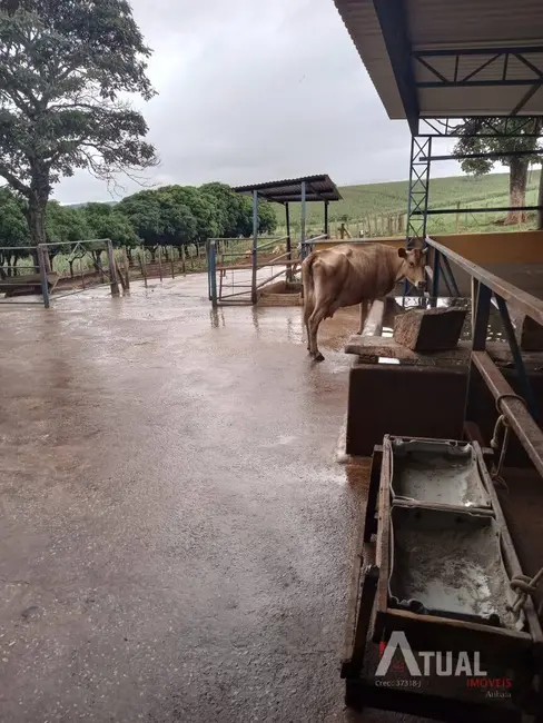 Fazenda / Haras com 3 quartos à venda, 800m2 em Centro, Pouso Alegre - MG - imagem 4 Foto 4 de Fazenda / Haras com 3 quartos à venda, 800m2 em Centro, Pouso Alegre - MG