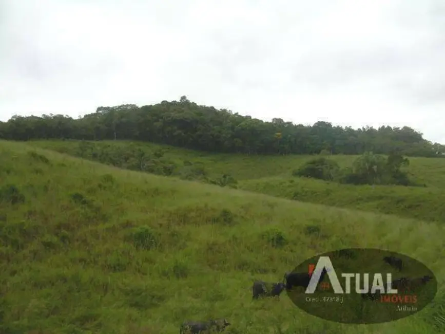 Foto 7 de Terreno / Lote à venda, 194158m2 em Centro, Suzano - SP