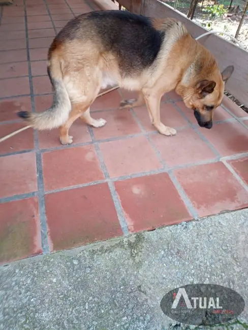 Foto 4 de Terreno / Lote à venda, 1000m2 em Jardim Imperial, Atibaia - SP