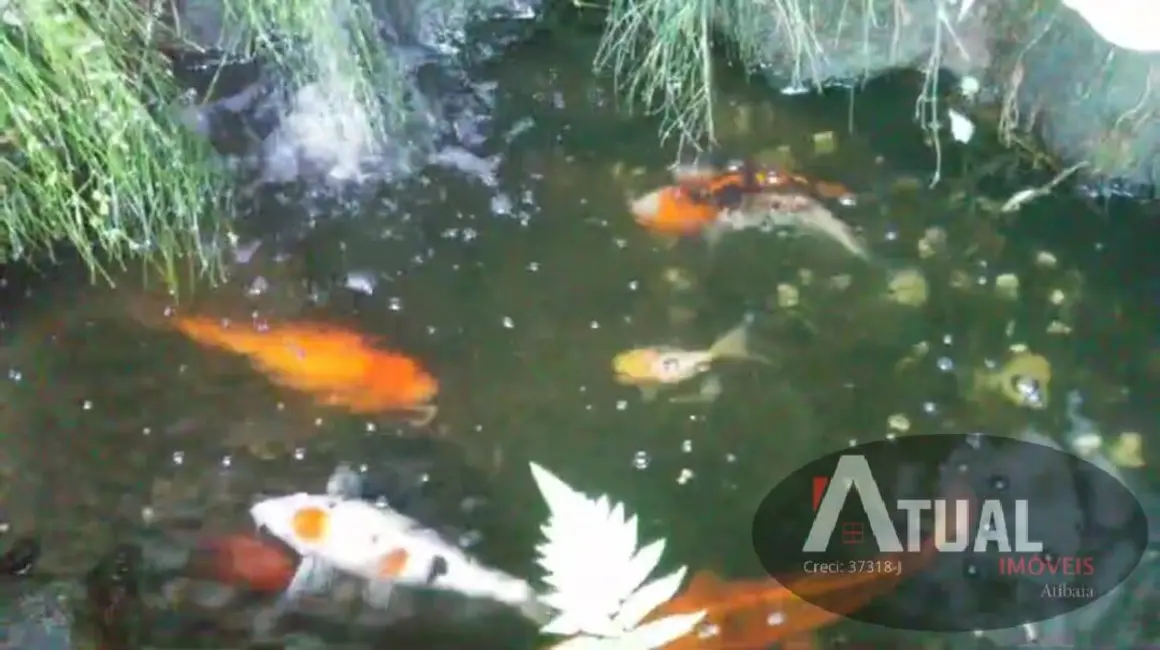 Foto 8 de Casa com 3 quartos à venda, 272m2 em Mairipora - SP