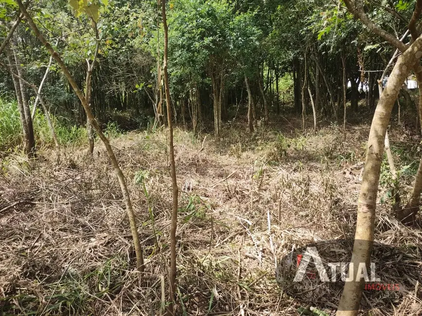 Foto 4 de Terreno / Lote à venda, 1360m2 em Bom Jesus Dos Perdoes - SP
