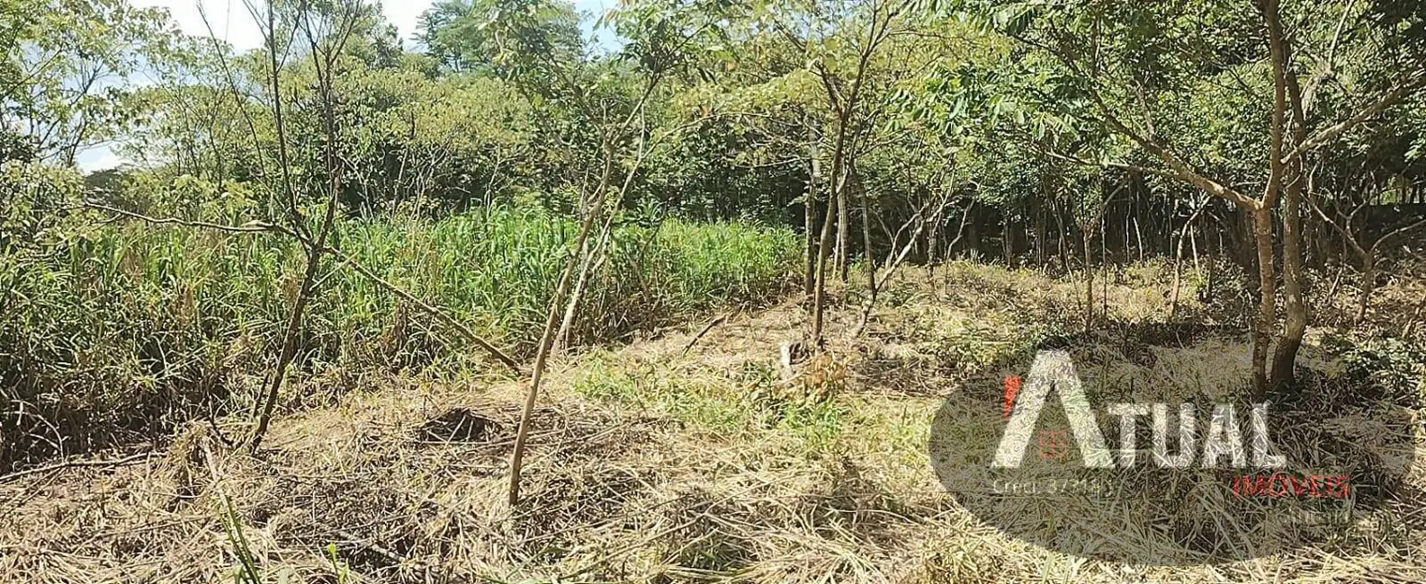 Foto 5 de Terreno / Lote à venda, 1360m2 em Bom Jesus Dos Perdoes - SP