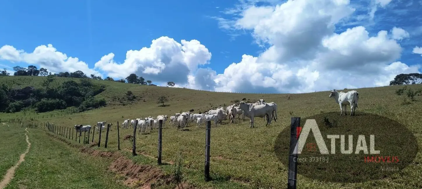 Foto 7 de Sítio / Rancho com 4 quartos à venda, 470m2 em Piracaia - SP