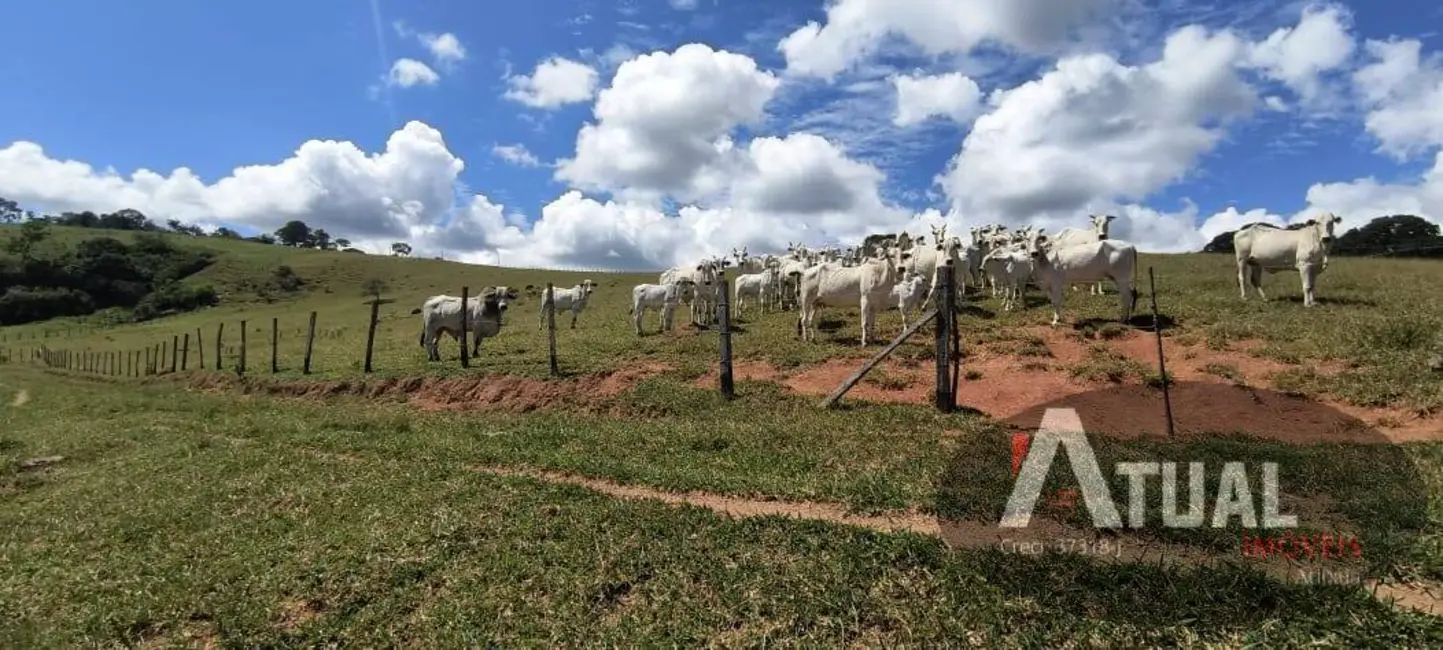 Foto 8 de Sítio / Rancho com 4 quartos à venda, 470m2 em Piracaia - SP