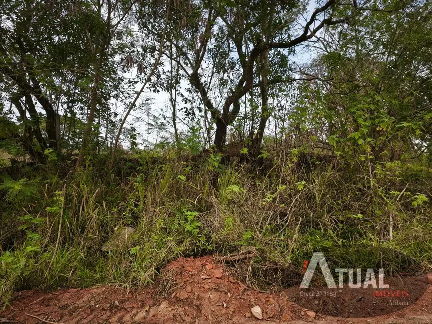 Foto 5 de Terreno / Lote à venda, 353m2 em Mairipora - SP