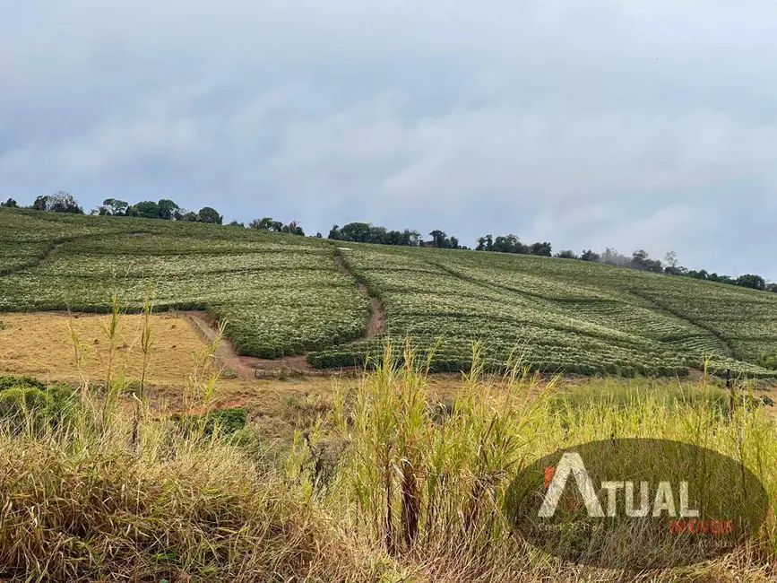 Foto 4 de Fazenda / Haras à venda, 729m2 em Unai - MG
