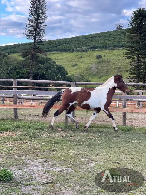 Foto 6 de Fazenda / Haras à venda, 729m2 em Unai - MG