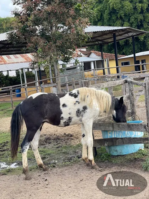 Foto 9 de Fazenda / Haras à venda, 729m2 em Unai - MG