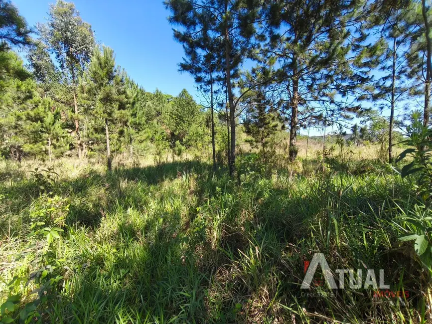 Foto 6 de Terreno / Lote à venda, 61862m2 em Mairipora - SP