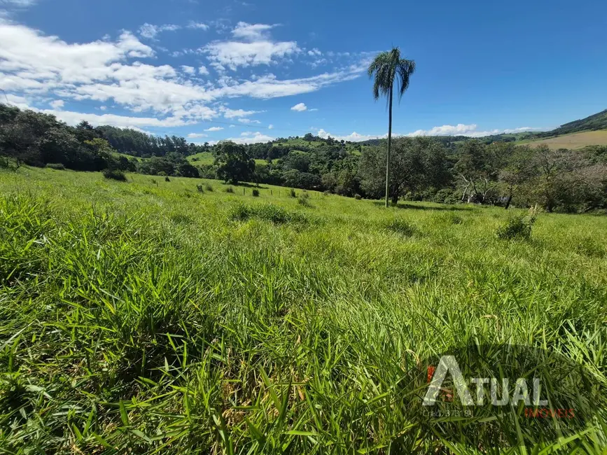 Foto 8 de Sítio / Rancho com 3 quartos à venda, 700m2 em Campo Novo, Braganca Paulista - SP
