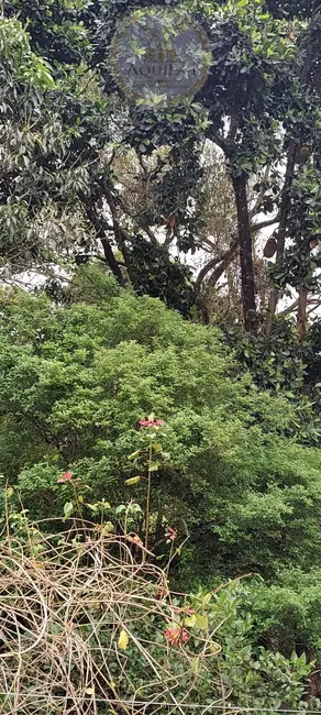 Foto 3 de Chácara com 2 quartos à venda, 2000m2 em Chácaras Clarice, Santana De Parnaiba - SP