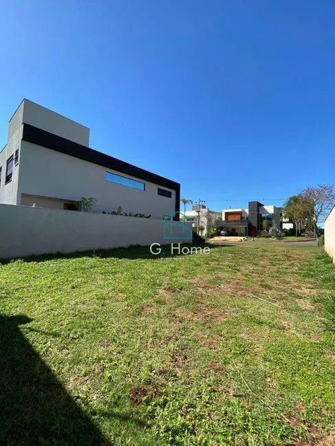 Terreno / Lote à venda, 373m2 em Gleba Fazenda Palhano, Londrina - PR - imagem 5 Foto 5 de Terreno / Lote à venda, 373m2 em Gleba Fazenda Palhano, Londrina - PR