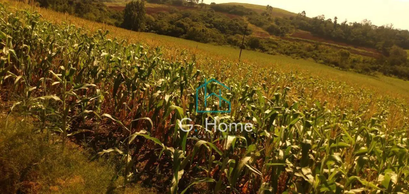 Foto 3 de Sítio / Rancho à venda, 24200m2 em Assai - PR