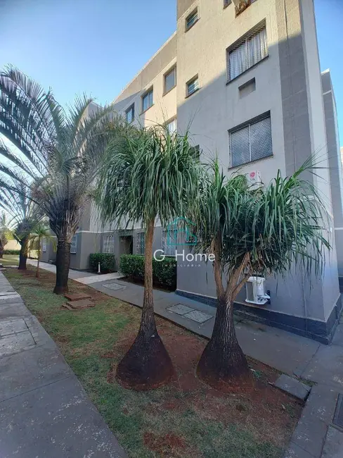 Apartamento com 2 quartos à venda, 62m2 em Jardim Nações Unidas, Londrina - PR - imagem 3 Foto 3 de Apartamento com 2 quartos à venda, 62m2 em Jardim Nações Unidas, Londrina - PR