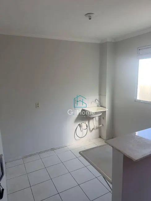 Apartamento com 2 quartos à venda, 43m2 em Olímpico, Londrina - PR - imagem 7 Foto 7 de Apartamento com 2 quartos à venda, 43m2 em Olímpico, Londrina - PR