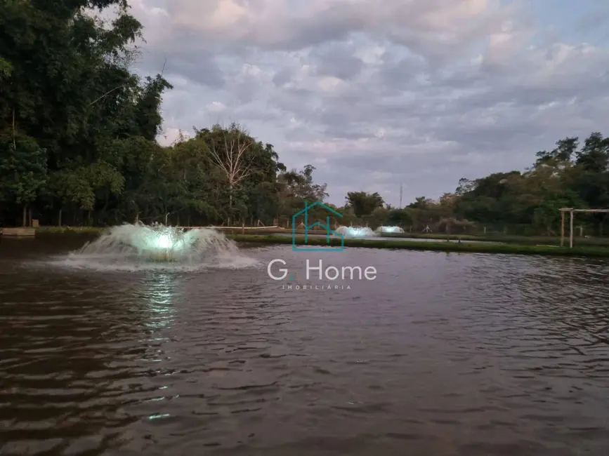 Chácara com 3 quartos à venda, 15000m2 em Recanto Rancho Ringo, Cambe - PR - imagem 7 Foto 7 de Chácara com 3 quartos à venda, 15000m2 em Recanto Rancho Ringo, Cambe - PR