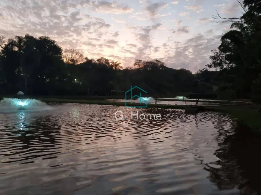 Chácara com 3 quartos à venda, 15000m2 em Recanto Rancho Ringo, Cambe - PR - imagem 8 Foto 8 de Chácara com 3 quartos à venda, 15000m2 em Recanto Rancho Ringo, Cambe - PR