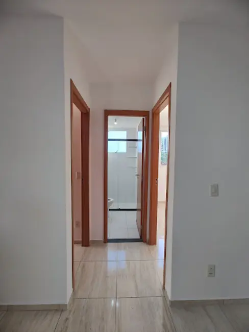 Foto 6 de Apartamento com 2 quartos à venda, 48m2 em Olímpico, Londrina - PR