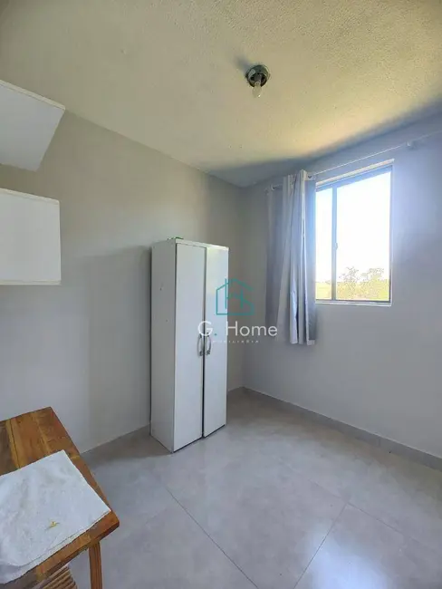 Foto 5 de Apartamento com 3 quartos para alugar, 52m2 em Londrina - PR