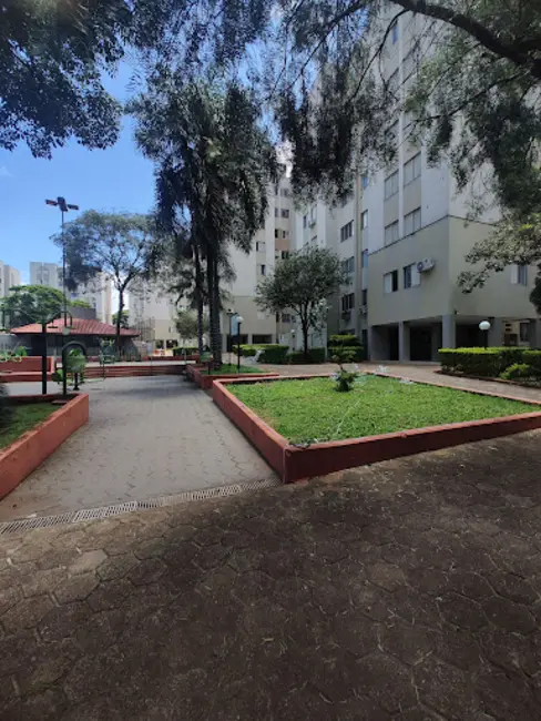 Apartamento com 3 quartos à venda, 65m2 em Antares, Londrina - PR - imagem 1 Foto 1 de Apartamento com 3 quartos à venda, 65m2 em Antares, Londrina - PR