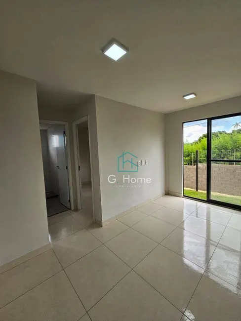 Foto 7 de Apartamento com 2 quartos para alugar, 47m2 em Conjunto Habitacional Alexandre Urbanas, Londrina - PR