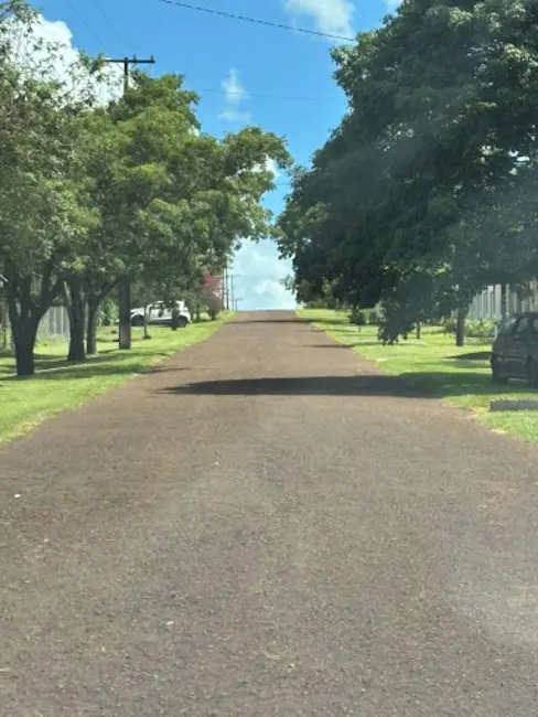 Foto 8 de Chácara com 3 quartos à venda, 3000m2 em Londrina - PR