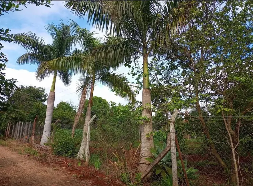 Chácara com 3 quartos à venda, 3608m2 em Londrina - PR - imagem 5 Foto 5 de Chácara com 3 quartos à venda, 3608m2 em Londrina - PR