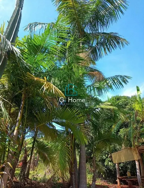 Chácara com 3 quartos à venda, 3608m2 em Londrina - PR - imagem 3 Foto 3 de Chácara com 3 quartos à venda, 3608m2 em Londrina - PR