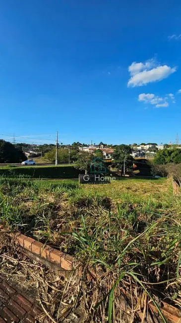 Foto 2 de Terreno / Lote à venda, 325m2 em Vila Rodrigues, Londrina - PR