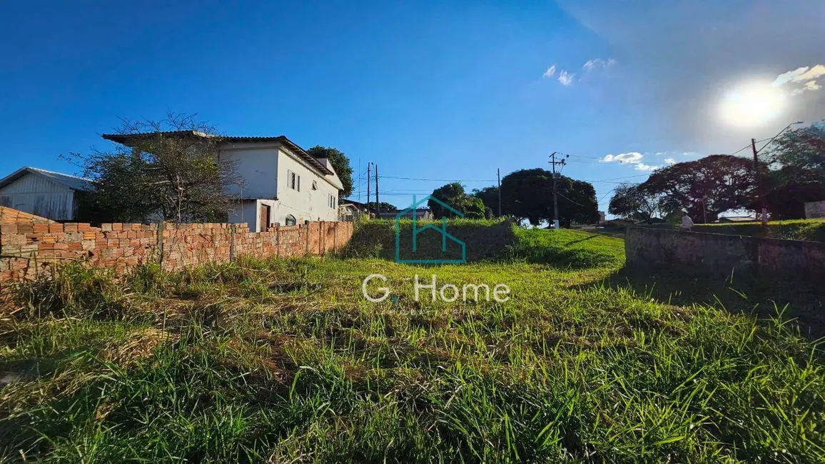 Foto 6 de Terreno / Lote à venda, 325m2 em Vila Rodrigues, Londrina - PR