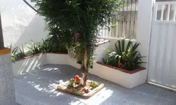 Imagem 17