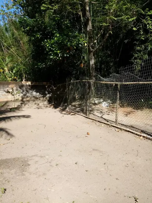 Sítio / Rancho com 3 quartos à venda em Mazomba, Itaguai - RJ - imagem 5 Foto 5 de Sítio / Rancho com 3 quartos à venda em Mazomba, Itaguai - RJ