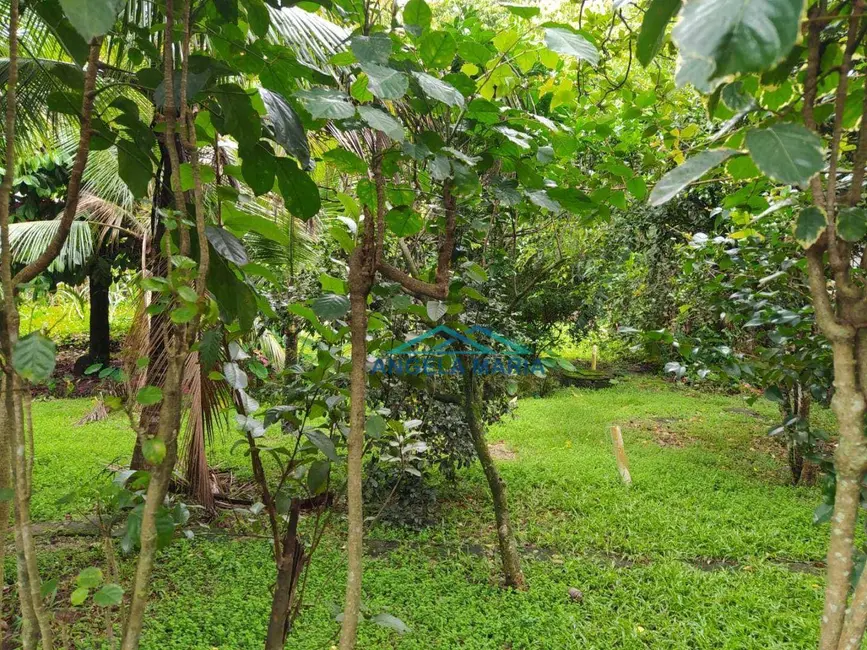 Foto 6 de Chácara com 7 quartos à venda, 1400m2 em Nova Aliança, Rio Das Ostras - RJ