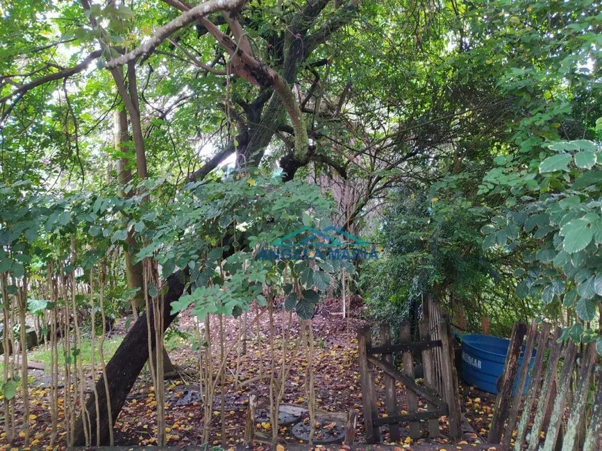 Foto 4 de Chácara com 7 quartos à venda, 1400m2 em Nova Aliança, Rio Das Ostras - RJ